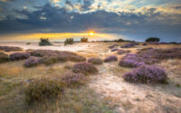Heideveld Nederland